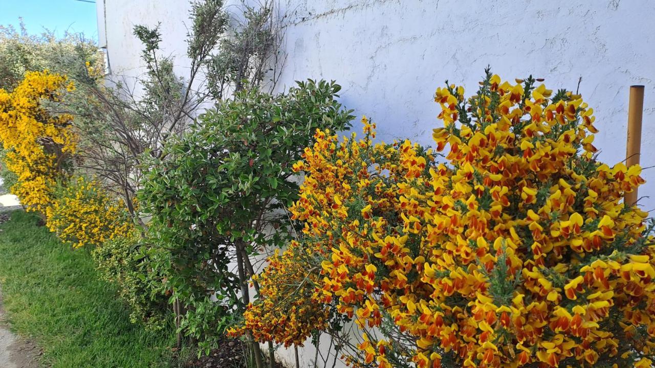 La Casa De Las Retamas Río Grande Eksteriør bilde